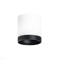 Накладной светильник Lightstar Rullo R34863487