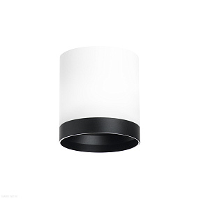 Накладной светильник Lightstar Rullo R34863487