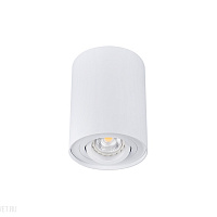 Накладной светильник Kanlux BORD 22551