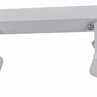 Спот Arte Lamp LENTE A1314PL-2WH