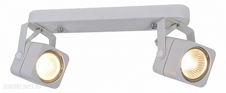 Спот Arte Lamp LENTE A1314PL-2WH