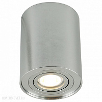 Накладной светильник Arte Lamp A5644PL-1SI