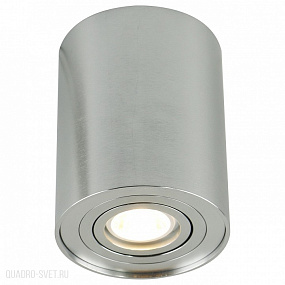 Накладной светильник Arte Lamp A5644PL-1SI