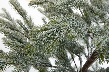 Ель CRYSTAL TREES БОЛЬЕРИ в снегу 180 см. KP18180