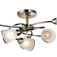 Люстра потолочная Arte Lamp INNOCENTE A6059PL-6AB