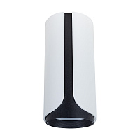 Накладной светильник Arte Lamp PINO A7376PL-1WH
