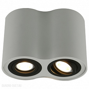 Накладной светильник Arte Lamp A5644PL-2WH