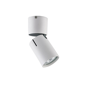 Накладной светильник Vele Luce Carrisi VL8061S21