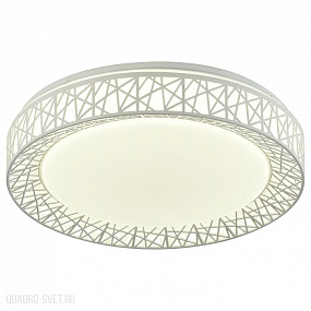 Потолочный светодиодный светильник F-PROMO Creatura 2314-5C