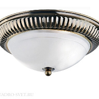 Потолочный светильник Arte Lamp ALTA A3016PL-2AB