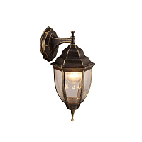 Настенный уличный светильник Arte Lamp PEGASUS A3152AL-1BN