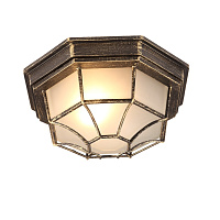 Настенно-потолочный уличный светильник Arte Lamp PEGASUS A3121PF-1BN