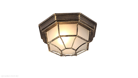 Настенно-потолочный уличный светильник Arte Lamp PEGASUS A3121PF-1BN