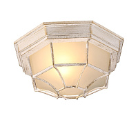 Настенно-потолочный уличный светильник Arte Lamp PEGASUS A3121PF-1WG