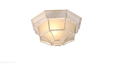 Настенно-потолочный уличный светильник Arte Lamp PEGASUS A3121PF-1WG