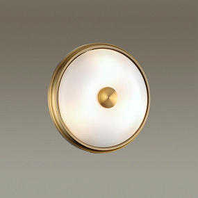 Настенно-потолочный светильник Odeon Light PELOW 4956/2