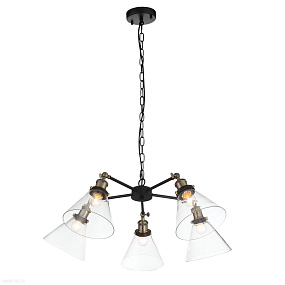 Подвесная люстра ST Luce EVOLUTO SL237.413.05