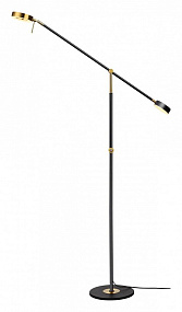 Светодиодный торшер Odeon Light DENZEL 4321/20FL