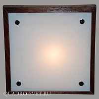 Настенно-потолочный светильник CITILUX CL938311