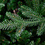 Ель CRYSTAL TREES ПЕРСЕЯ 60 см. KP1160