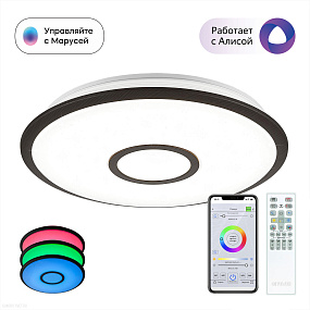 Потолочный светильник CITILUX Старлайт Смарт CL703A45G