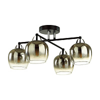 Потолочная люстра LUMION DESIREE 5224/4C