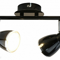 Спот Arte Lamp Gioved A6008PL-2BK