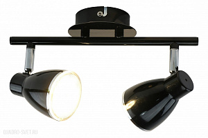 Спот Arte Lamp Gioved A6008PL-2BK