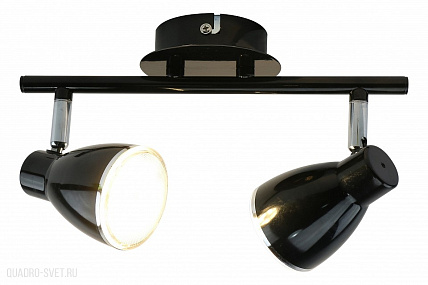 Спот Arte Lamp Gioved A6008PL-2BK