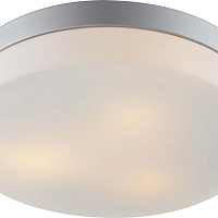 Настенно-потолочный уличный светильник Arte Lamp SHIRP A3211PL-3SI