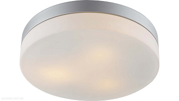Настенно-потолочный уличный светильник Arte Lamp SHIRP A3211PL-3SI