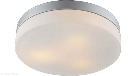 Настенно-потолочный уличный светильник Arte Lamp SHIRP A3211PL-3SI