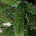 CRYSTAL TREES Искусственная Ель Алтайская 150 см