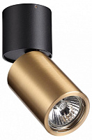 Накладной светильник Odeon Light DUETTA 4280/1C