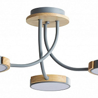 Потолочная светодиодная люстра LUMION ARLEY 5655/54CL