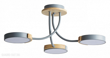 Потолочная светодиодная люстра LUMION ARLEY 5655/54CL