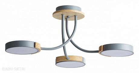 Потолочная светодиодная люстра LUMION ARLEY 5655/54CL