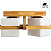 Потолочный светильник Arte Lamp WOODS A8252PL-4BR