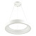 Светодиодный подвесной светильник Odeon Light SOLE 4066/50L