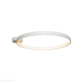 Светодиодный потолочный светильник Zumaline CIRCLE LA0769