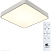 Потолочный светодиодный светильник Arte Lamp SCENA A2663PL-1WH