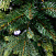 Ель CRYSTAL TREES Княжеская зеленая 210 см KP6221