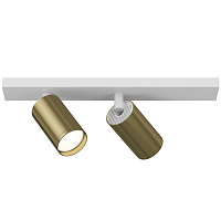 Потолочный светильник Maytoni FOCUS S C051CL-2WBS