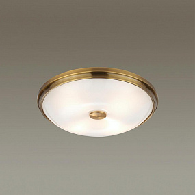 Настенно-потолочный светильник Odeon Light PELOW 4956/4
