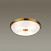 Настенно-потолочный светильник Odeon Light PELOW 4956/4