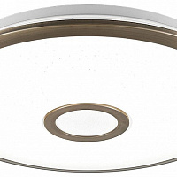 Потолочный светильник CITILUX Старлайт Смарт CL703A43G