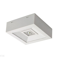 Аварийный светодиодный светильник Kanlux TRIC POWERLED NT 18642