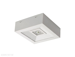 Аварийный светодиодный светильник Kanlux TRIC POWERLED NT 18642