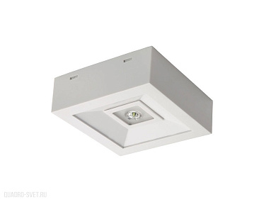 Аварийный светодиодный светильник Kanlux TRIC POWERLED NT 18642