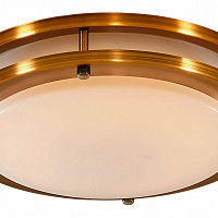 Потолочный светильник CITILUX Бостон CL709203N